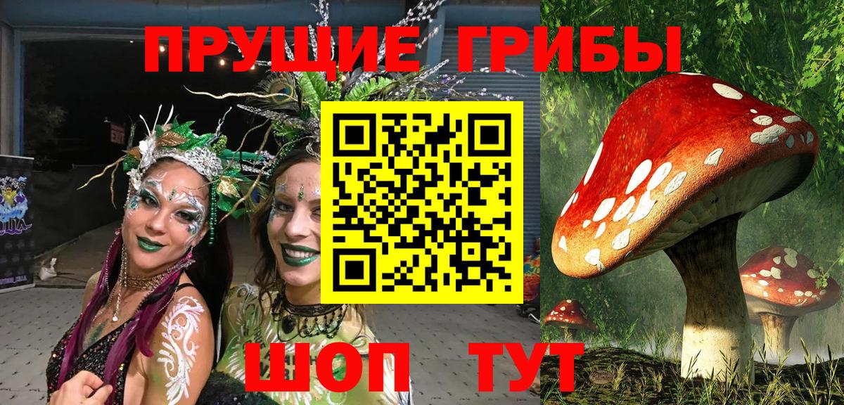 Псилоцибиновые грибы мицелий Ярцево