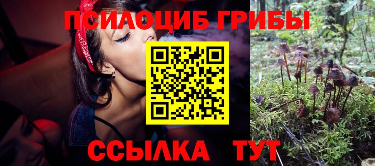 Галлюциногенные грибы прущие грибы  Псилоцибиновые грибы MAGIC MUSHROOMS  Ярцево  Вход с VPN 